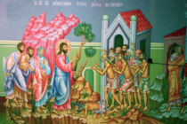 HOMILY: 13th Sunday After Pentecost